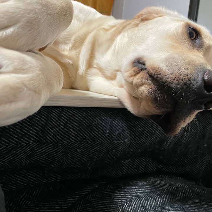 1fbd0e3a d3d1 4a58 9f6c 4659c8001ac1 1643065562273