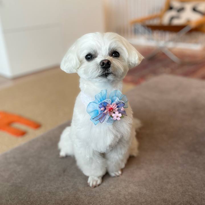 1fbd20fa 46b1 485d 9c1d a26e5df2acd8 1775564472970