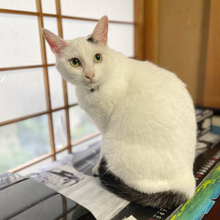 1fbd4eeb f082 453d aa5a b6769cc30622 1764024608919