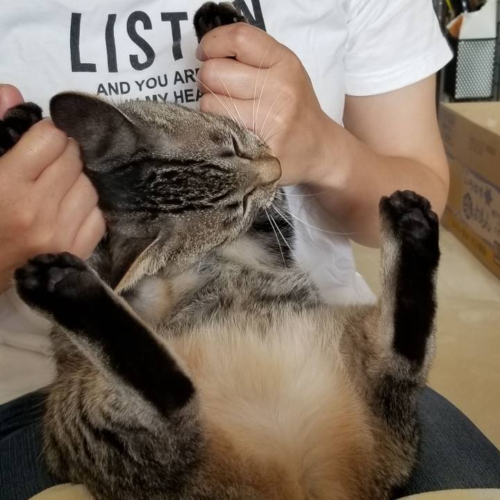 1fbd5033 828a 4475 8a4b de030c52b0a3 1685271805153