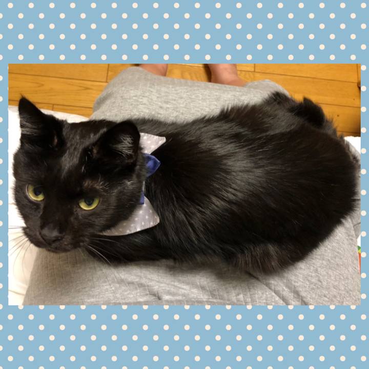 1fbd7db3 097f 43c9 a8dc 57a28948abc8 1573473250416