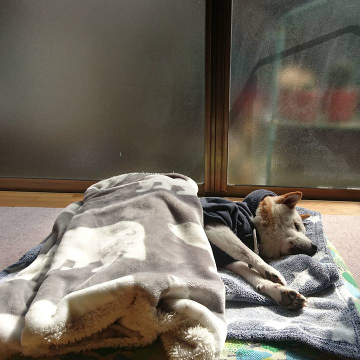 1fbe2c9b 76f6 40d7 8c8f f30ce472bd02 1552308455512