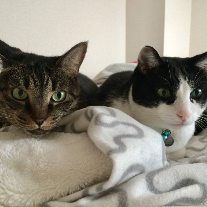 1fbe4b83 4ddd 4883 bf73 83c6b482e4cd 1514717596601