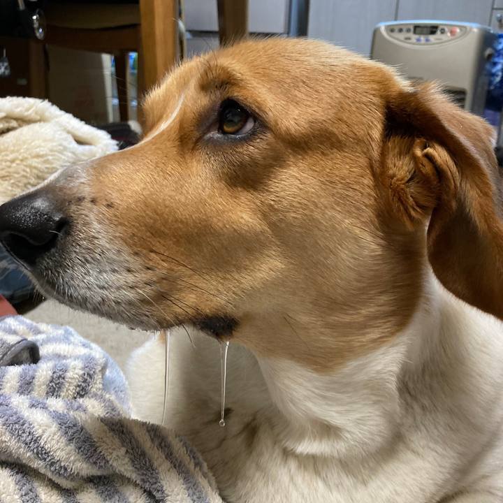 1fbe635d bb99 4e98 b53f 5d1bd81206fc 1644456783740