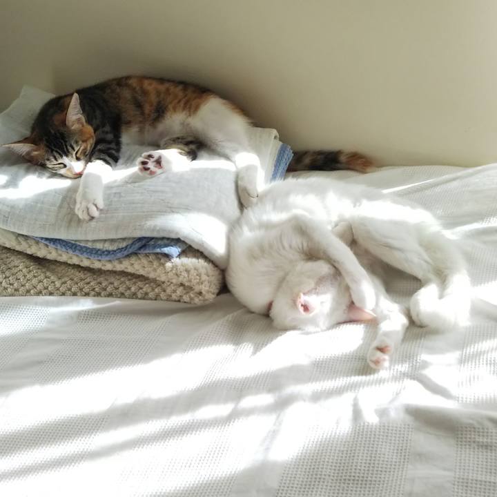 1fbe727b 7f98 464e ab06 84a0bcbf027e 1633843516729