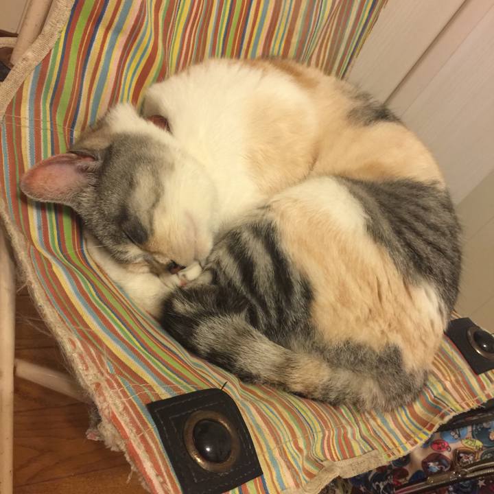 1fbe7934 fb7e 4b14 a20a 9e452bdaa033 1557069166813