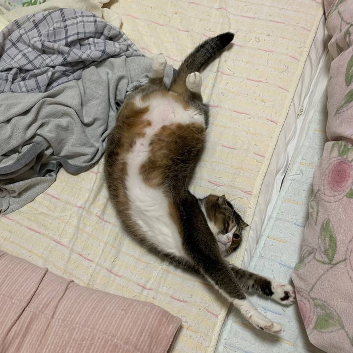 1fbec6cd 56a9 4d05 b42a 593b3157e343 1574609559235