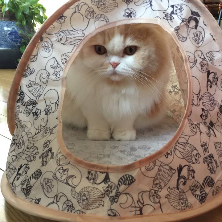 1fbecbe4 b382 48d0 bbcb 1ad726a29399 1525398387522