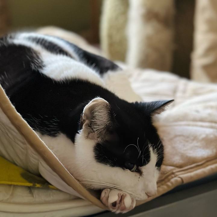 1fbf1979 35ef 41a0 95a9 45e370921c57 1672876413651