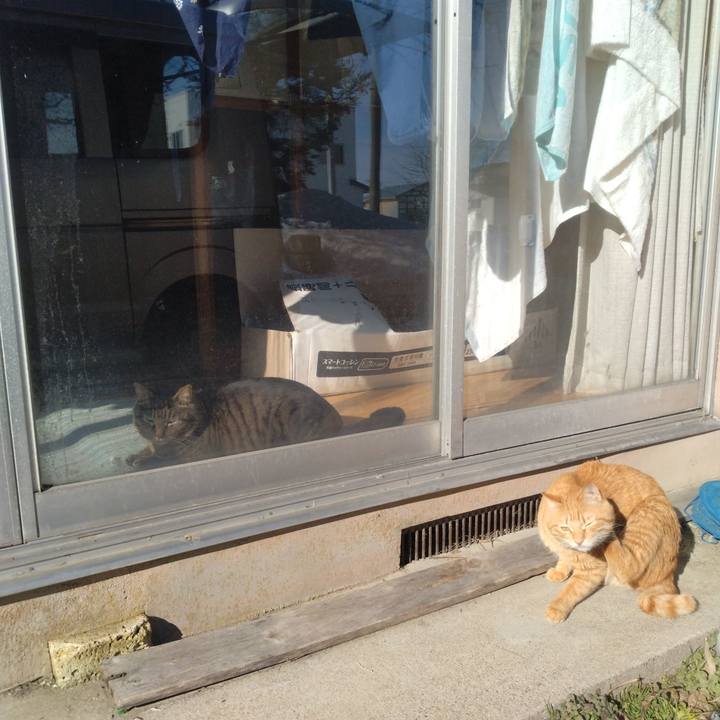 1fbf289d 12bd 487a 8601 5c050a72ec53 1677996859842