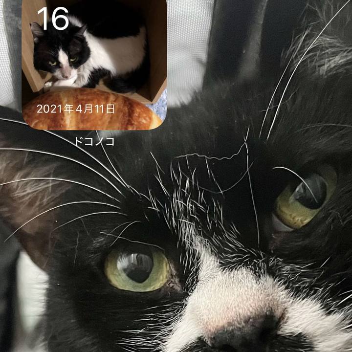 1fbf8dc6 f98c 45ef acc7 03b30b4922f5 1713234400212