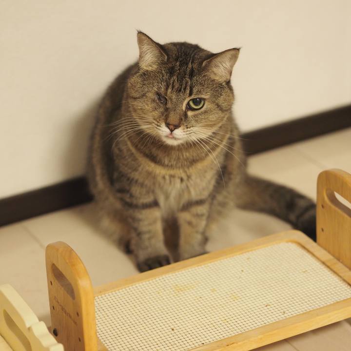 1fbfb119 a4ed 473c a7a5 c8580e5c20d2 1573550851393