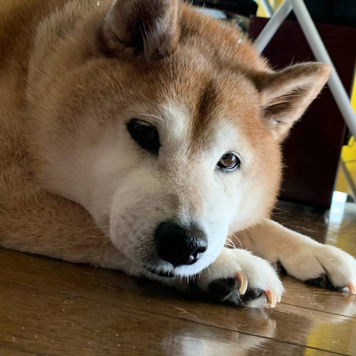 1fbfb472 c838 4338 9eef 9f6651db8c31 1588129659236