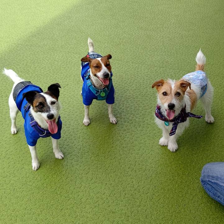 1fbfdece 35f3 43fa bda2 568d0cb99993 1622021823776