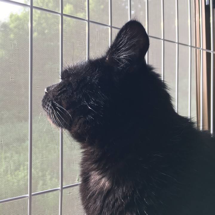 1fc02f8b ef9b 4efb 88a7 2a6a15fa5a1f 1562447256492