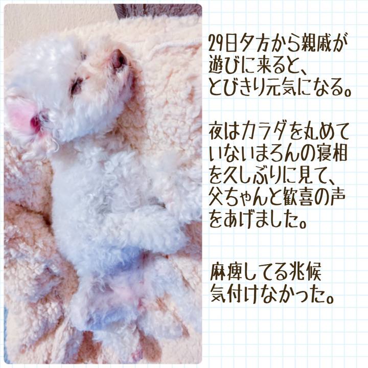 1fc038c6 debd 4867 a87c 276a4a55f582 1526347746922