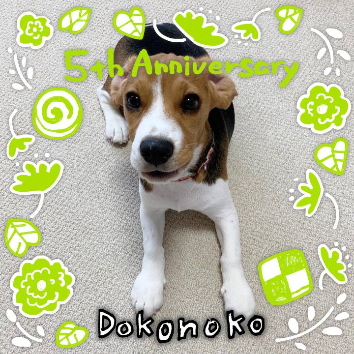 1fc04497 001f 40a8 92fb 6f3dd6f3f374 1622937246303