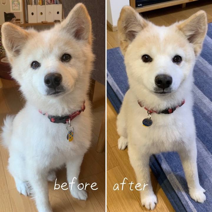 1fc08cc0 5e4d 4428 9b97 9f957db09ef8 1665282498236