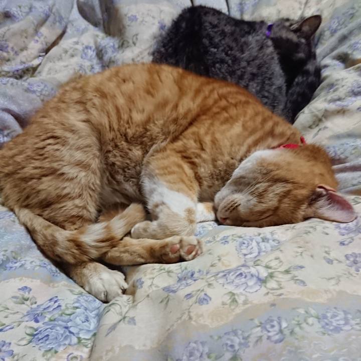 1fc091d1 ac30 460c ae50 25082fdbabc6 1578744733442