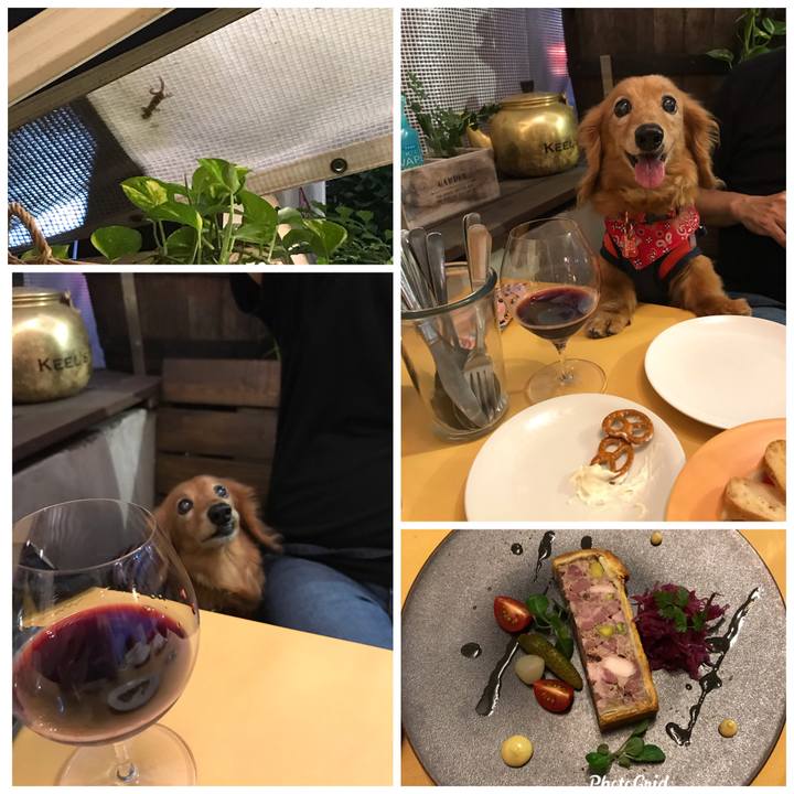 1fc0a4ee 7835 49ba a25d 516a3297ce90 1597407404257