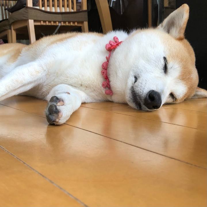 1fc138a3 b435 4e16 aab5 50acb68ff5ce 1650330044738