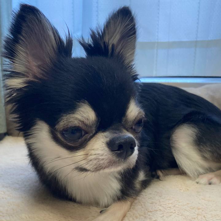 1fc13dec 5d1e 459a b936 5fdbc9f80602 1626580437577