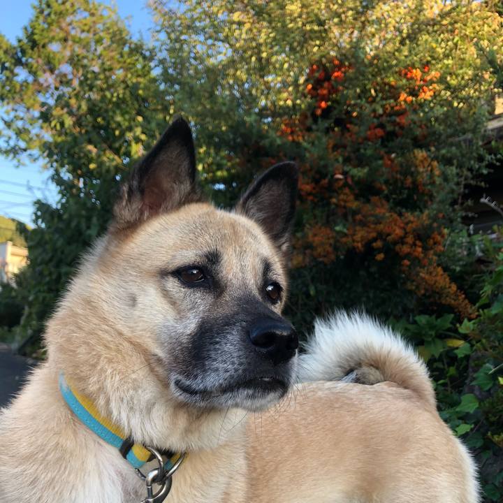 1fc1403a c316 4e29 abb0 d55cfd56a731 1633434601354