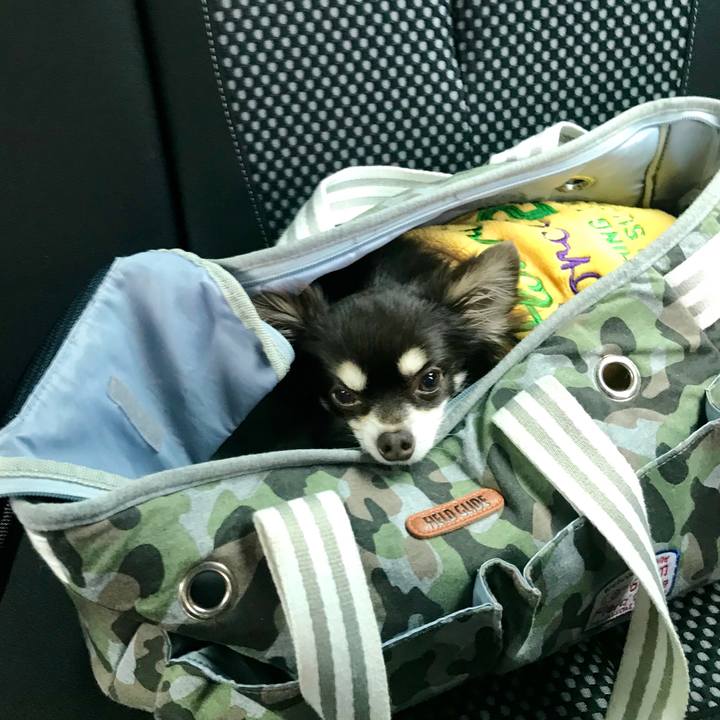 1fc16eaa 47ca 4576 81d5 0c6bbfe7a762 1574834408393