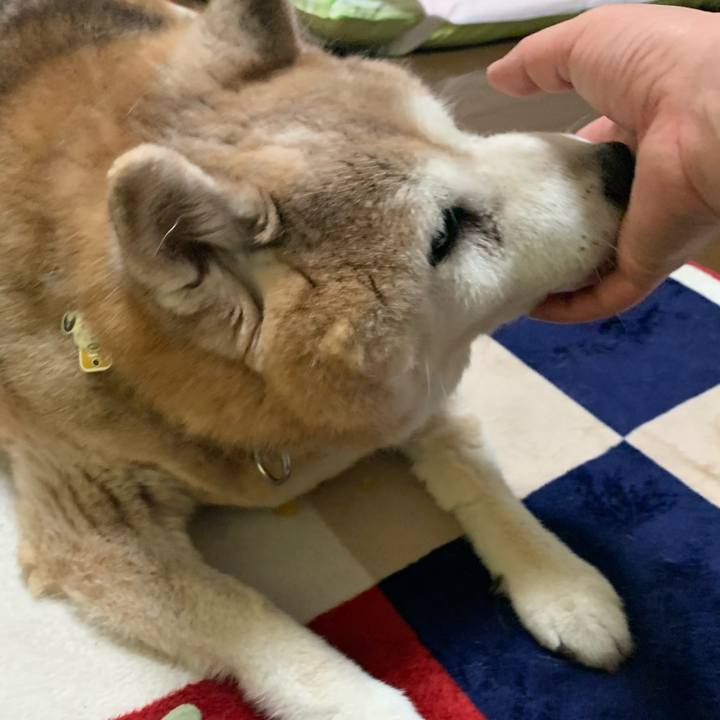 1fc19561 f260 4499 827d d04c86d985e0 1654471503109