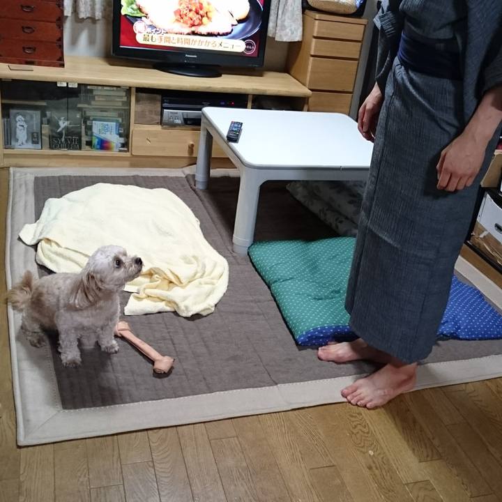 1fc1a620 a64b 42c2 9ba0 0d22a41aba36 1533120638181