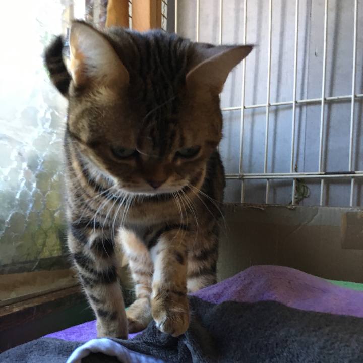 1fc1aef8 595e 40c4 af16 d2e231a726fc 1548135686900