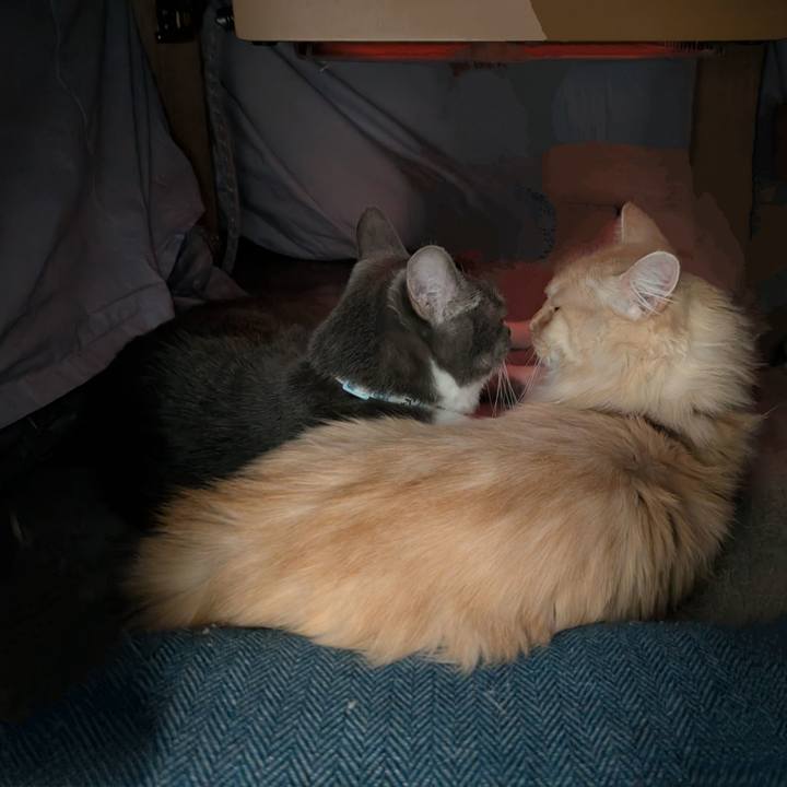 1fc229c9 95a6 4814 91ea aa6a535588f3 1738843691003