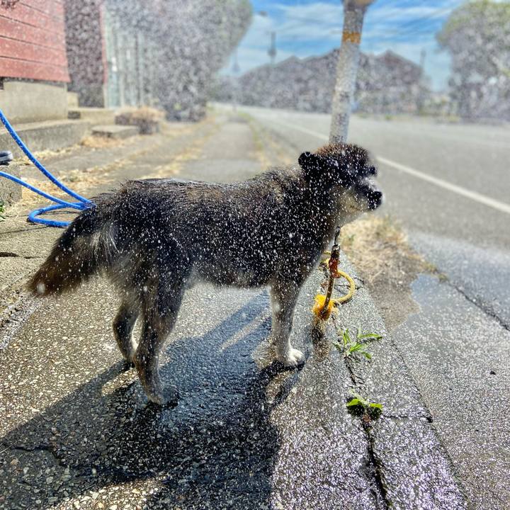 1fc29da2 07ef 4829 8e34 5446f7c1e880 1657347769601