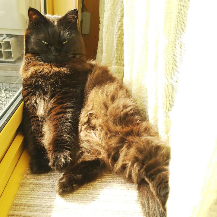 1fc2af4c ed53 41f7 a1d4 9a1323c7b8ea 1551587465155