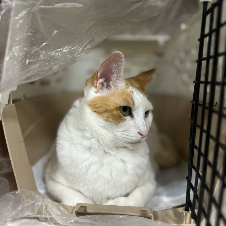 1fc2f582 3707 4666 8d30 2dd66bb8f6e3 1687180024314