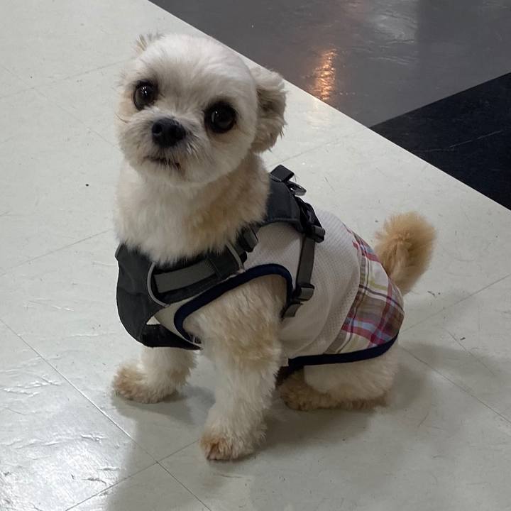 1fc3040b 9a3c 4485 8890 4d00cafe245f 1569235003429