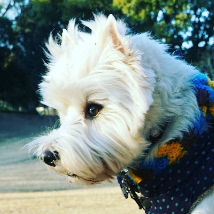 1fc304f5 e391 4480 8c37 60b69ddd9bcc 1517959726429