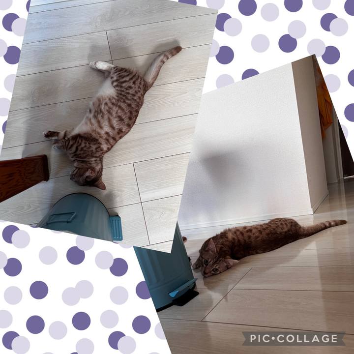 1fc30d44 035e 4d14 b3a3 9eeb1b91b8f0 1722808307448