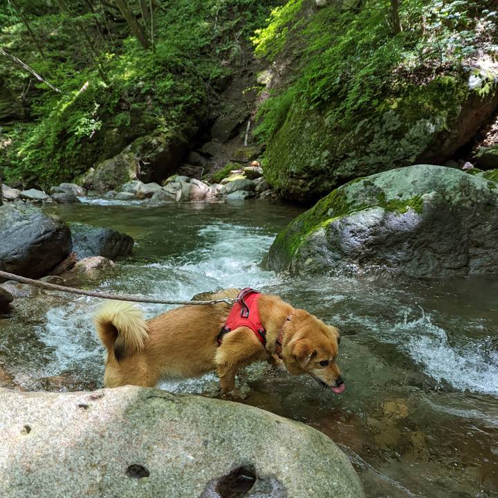 1fc310f4 f68f 432b b9e4 bb8660379e1f 1657547902417