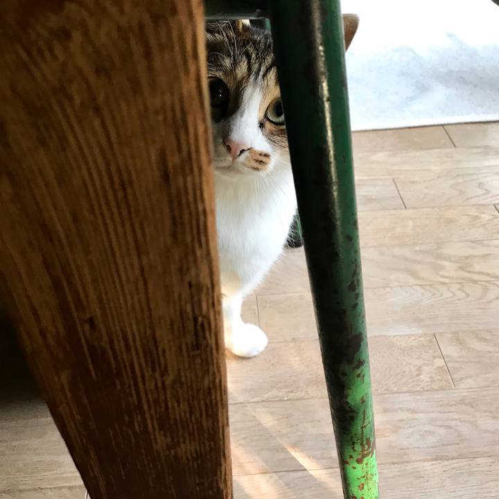 1fc31a70 214b 4b0e 9feb ebccda50341d 1510204472667