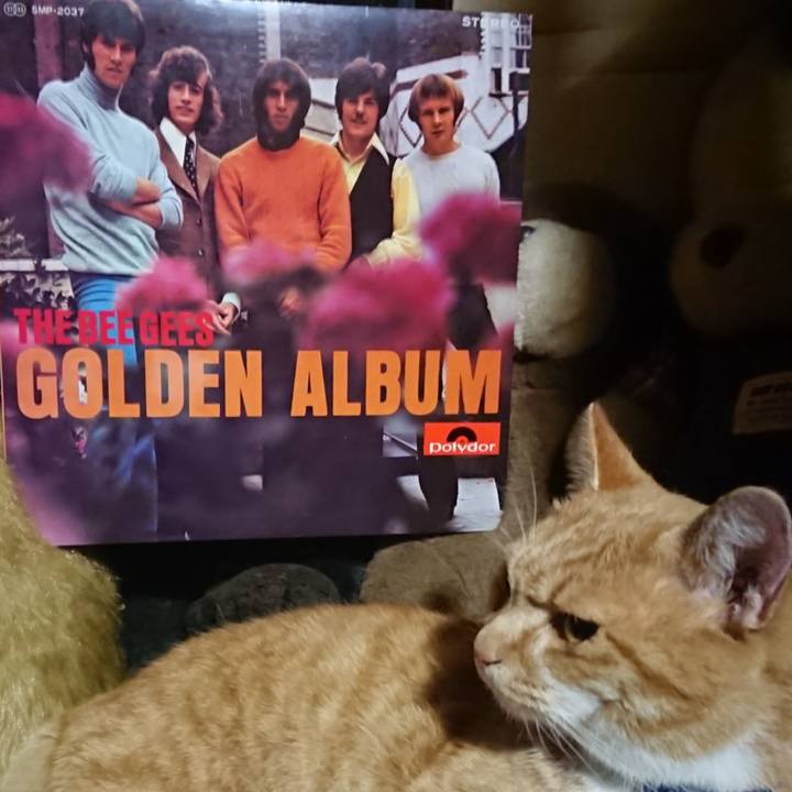 1fc3476c 31d4 4b78 89ac da72eee3d87a 1605529404827