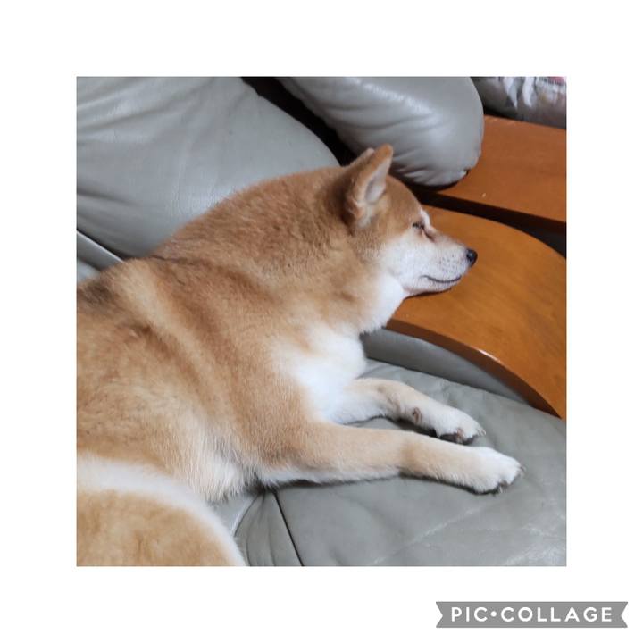 1fc358b0 7a1b 483a b8d0 faa3ee34c32e 1752987852834