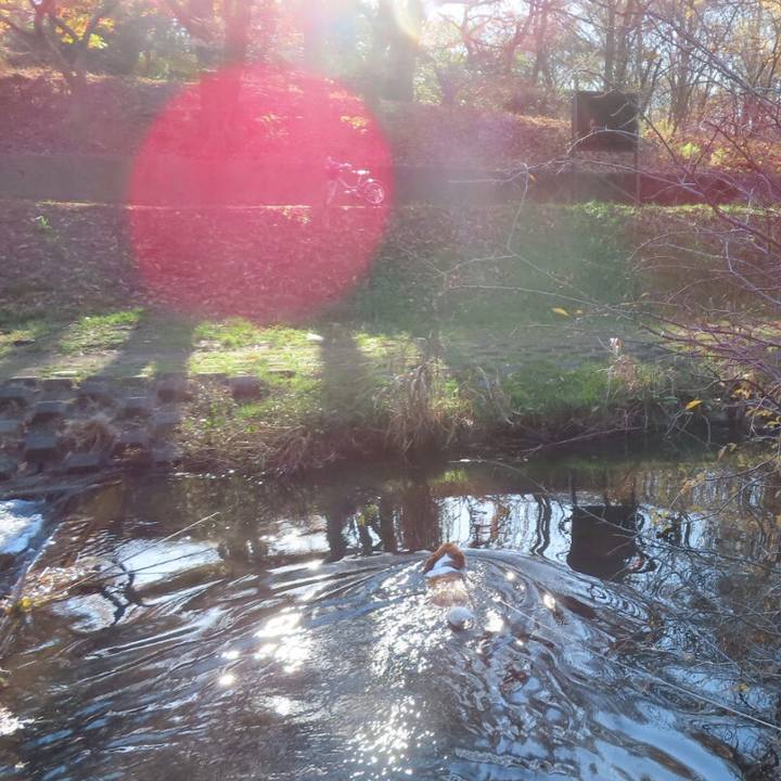 1fc35af4 8115 49a4 9f58 81930fe881da 1639271146037