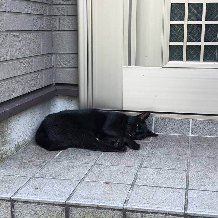 1fc36bd4 f669 415d 88fc 0ec61f0157c8 1566721776317