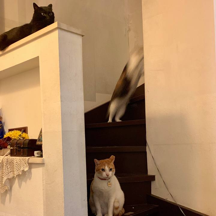 1fc37648 322f 4fa7 83bc 08bae942b4ed 1575900152967