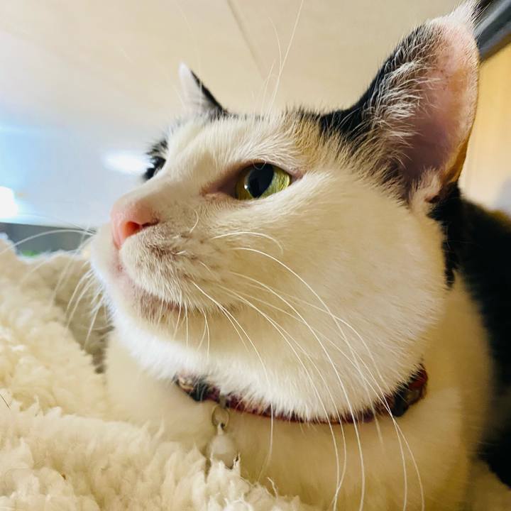 1fc3b6e1 6159 479c 8277 c28af712b61d 1672495165653