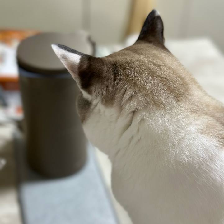 1fc3fa62 0153 4c5b 9841 ada030f91356 1760184592416