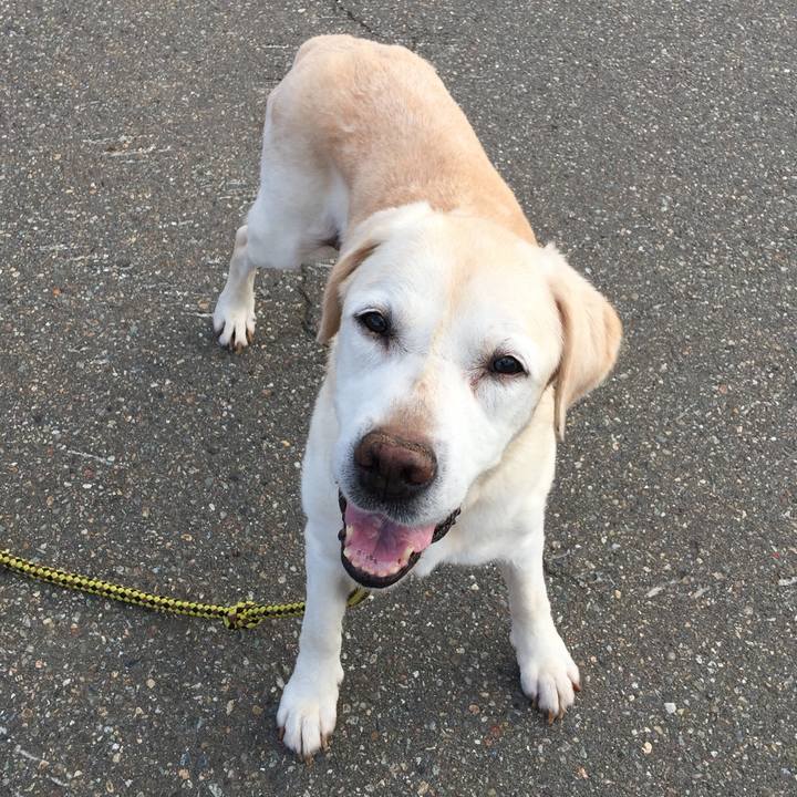 1fc3fc46 c571 4106 afb9 4a911aadb843 1534326302889