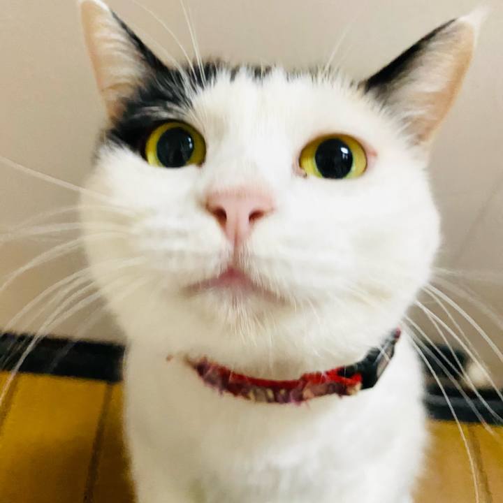 1fc3ff05 ca2f 4157 ad49 8264ecc23d58 1664666413980