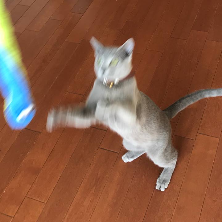 1fc41056 2abd 4059 abd9 02ac9272cde6 1518361854647